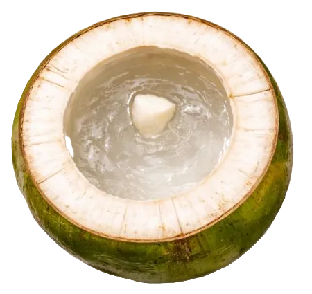 Eau de coco
