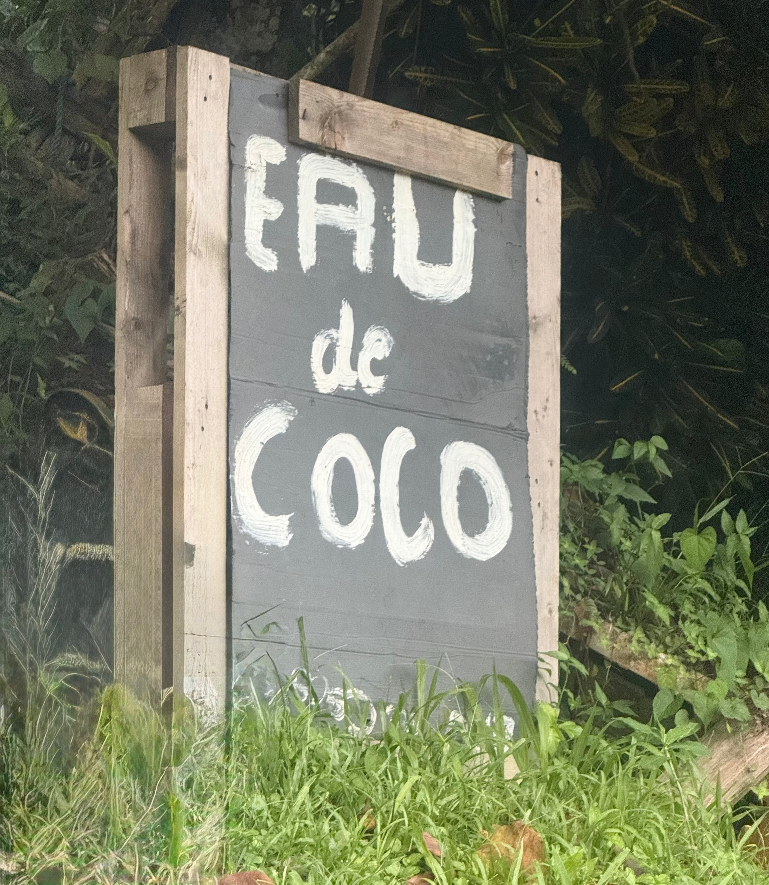 Panneau eau de coco sur les routes de martinique 