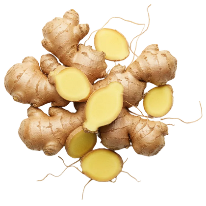 PERU GINGER
